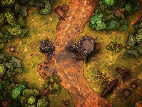 Forest-Road-1.jpg