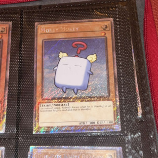 483315154_1354011312535958_1165899160271278122_n