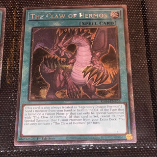 483919968_1718277319074229_6088667933750741193_n