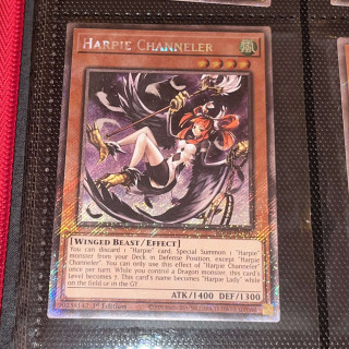 490269486_688180687228136_6150940956522774554_n