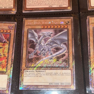 490983234_1204663441285401_8043864687176458097_n