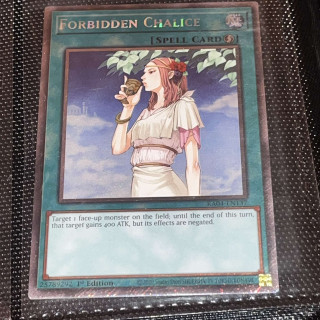 491340242_2718458688346193_6837328749770480066_n