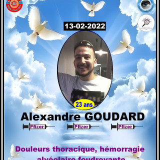 Desenfantes---Alexandre