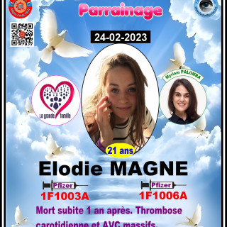 Desenfantes---Elodie