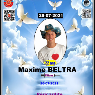 Desenfantes---Maxime