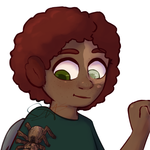 Fenix-Kialopoly-ill.4.1.png