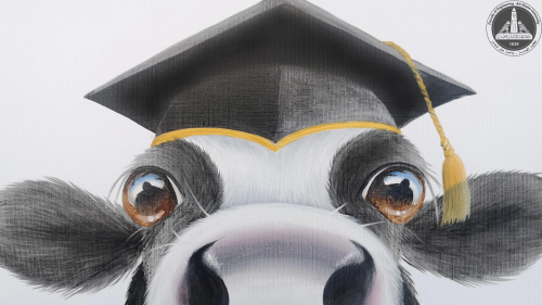 graduation-moo.png