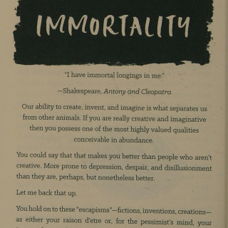 107_How-not-to-kill-yourself--a-survival-guide-for-imaginative-pessimists