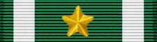 NavyMC-ACHMedal-1-G-Star.jpg