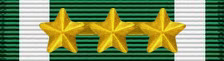 NavyMC-ACHMedal-3-G-Star.jpg