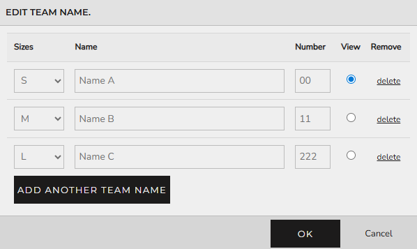 Edit team name