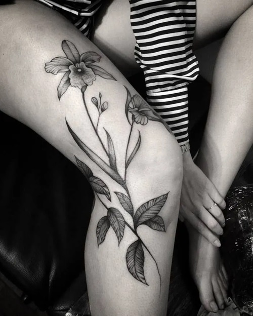 11. Orchid Flowers and Leaves on Knee
