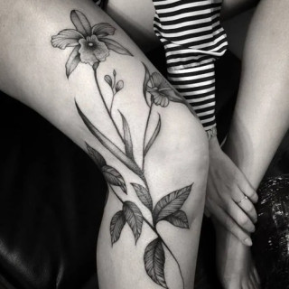 11.-Orchid-Flowers-and-Leaves-on-Knee