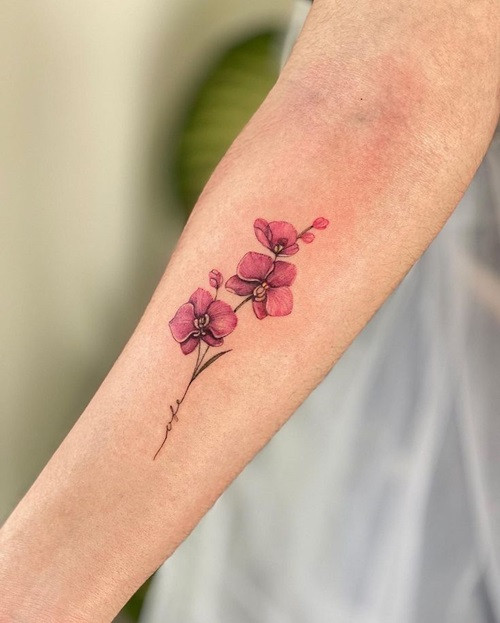 3. Pink Orchid