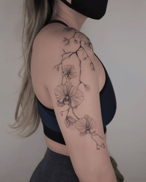 Melancia Tatuagem