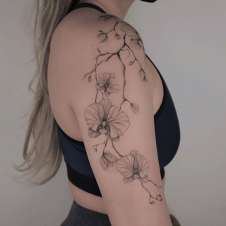 Melancia-Tatuagem
