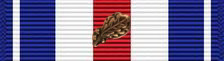 SilverStarwith1BronzeOak.jpg