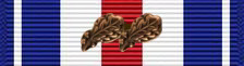 SilverStarwith2BronzeOak.jpg