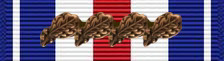 SilverStarwith4BronzeOak.jpg