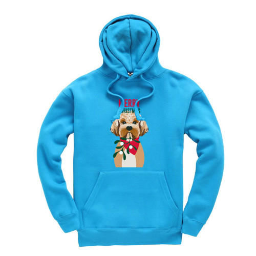 Hood-Sapphire21f96a0cc6ea1592.jpg