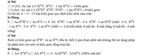 b9d58a87fed1748f2dc0.jpg