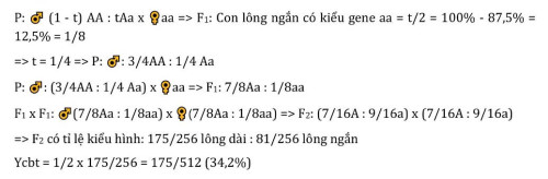 4d3cdabf26e6acb8f5f7.jpg