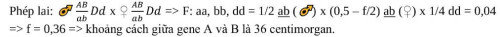 c6fb53aa7bf0f1aea8e1.jpg