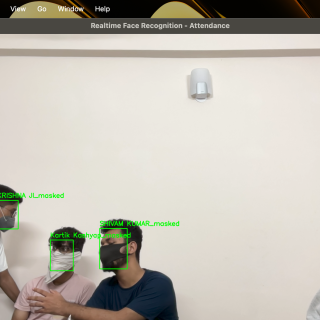 testing-faceOcclusion
