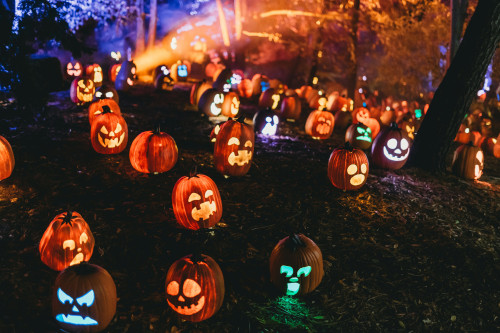 2510_header.jpg