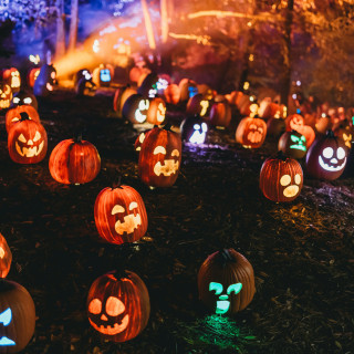 2510_header