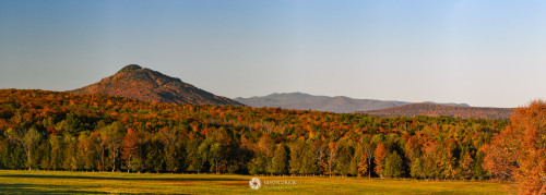 DSC_0689_stitch.jpg