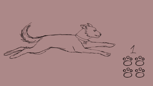 run-test-gif7387c8fdae29d99d.gif