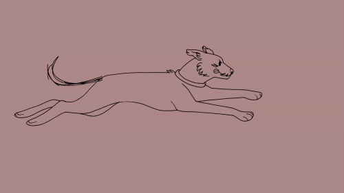 run-test-gif.gif