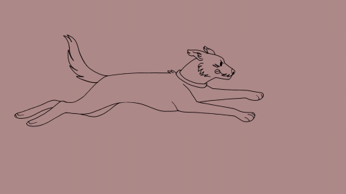 run-test-gif310b5422dd222c6d.gif