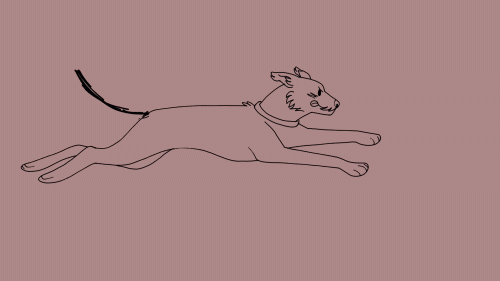 run-test-gifa2865f54175bb37f.gif
