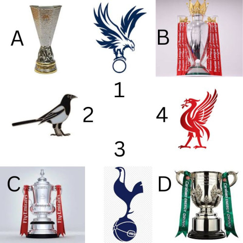 Football-Trophy-Birds-2.jpg