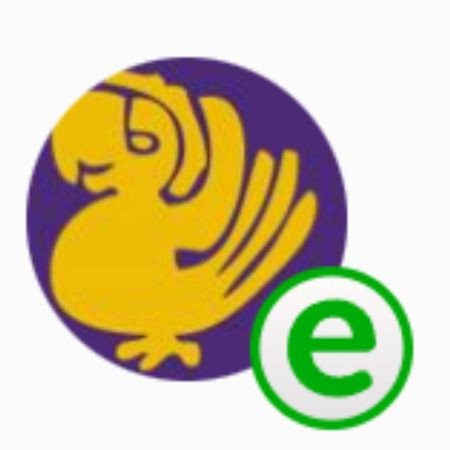 Purple-Parrot-Reveal.jpg