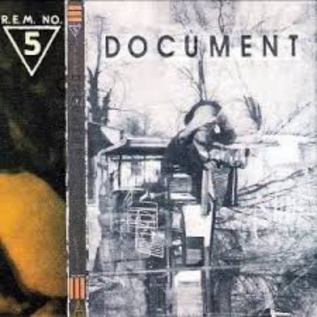 REM-Document-Reveal---Copy.jpg