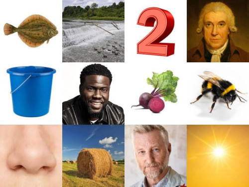 Song-Homonyms.jpg